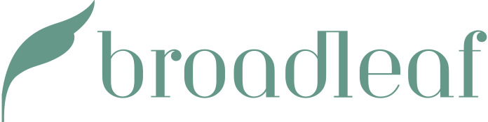 Broadleaf Timber