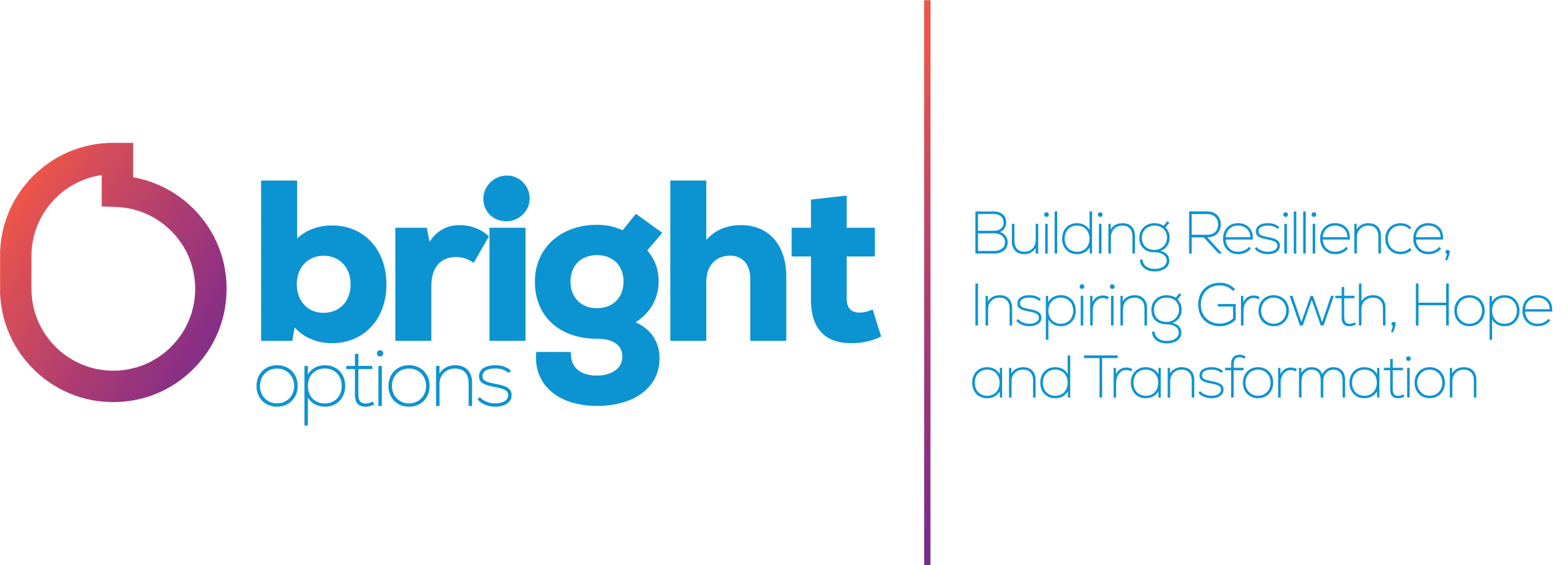 B.R.I.G.H.T. Options - A Calan DVS Social Enterprise