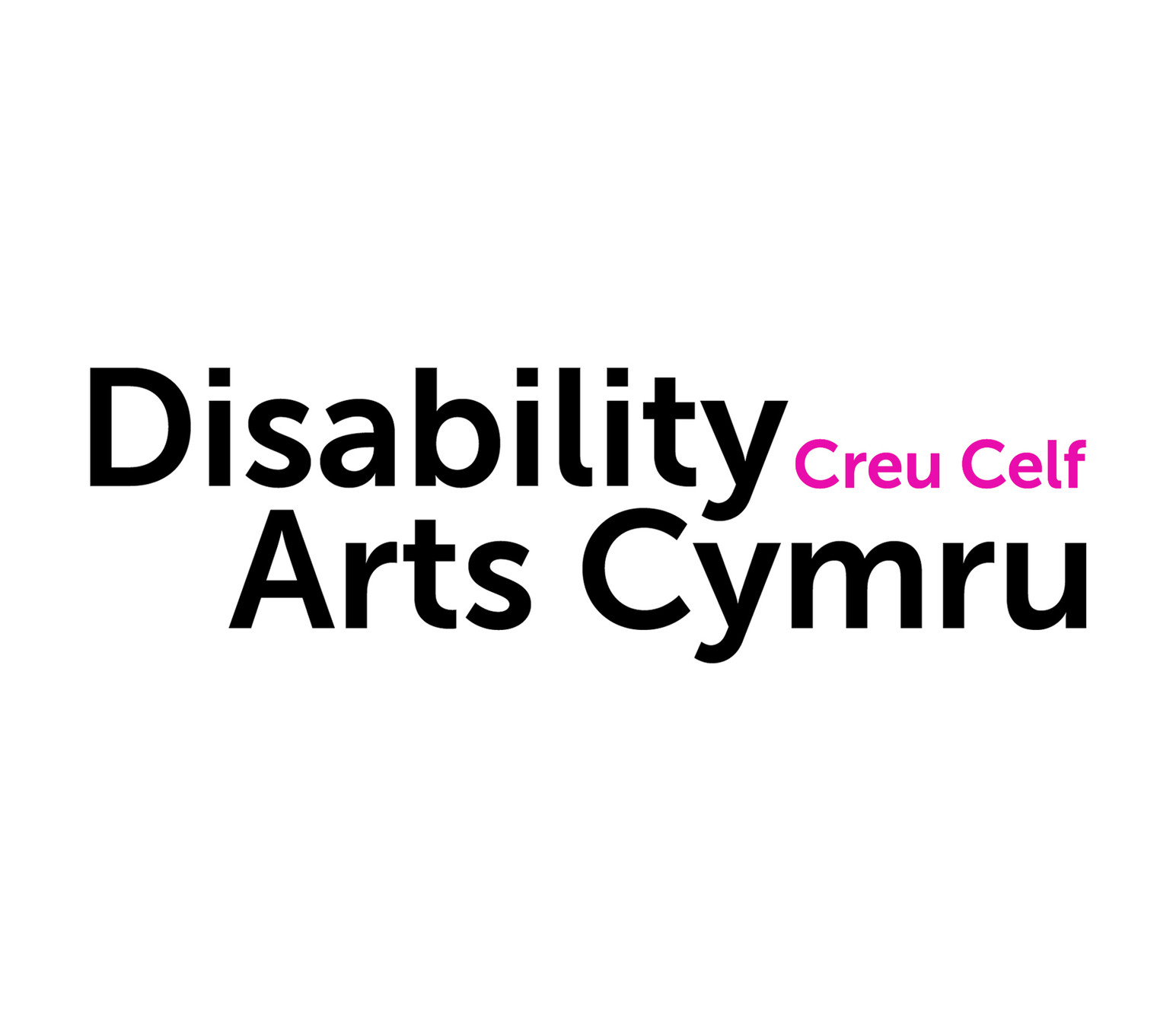 Disability Arts Cymru DAC