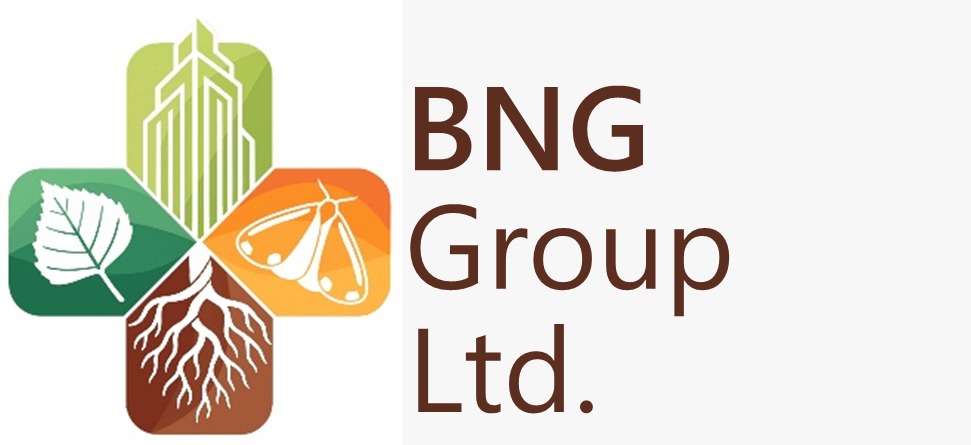 BNG Group Ltd
